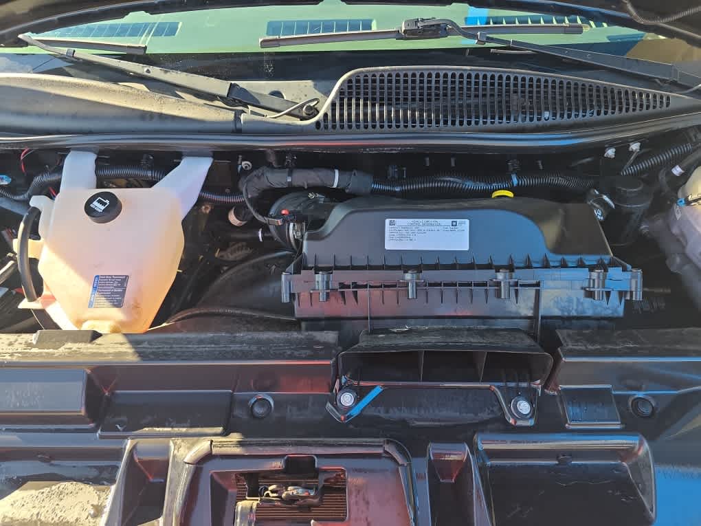 2020 Chevrolet Express Passenger 3500 1LS